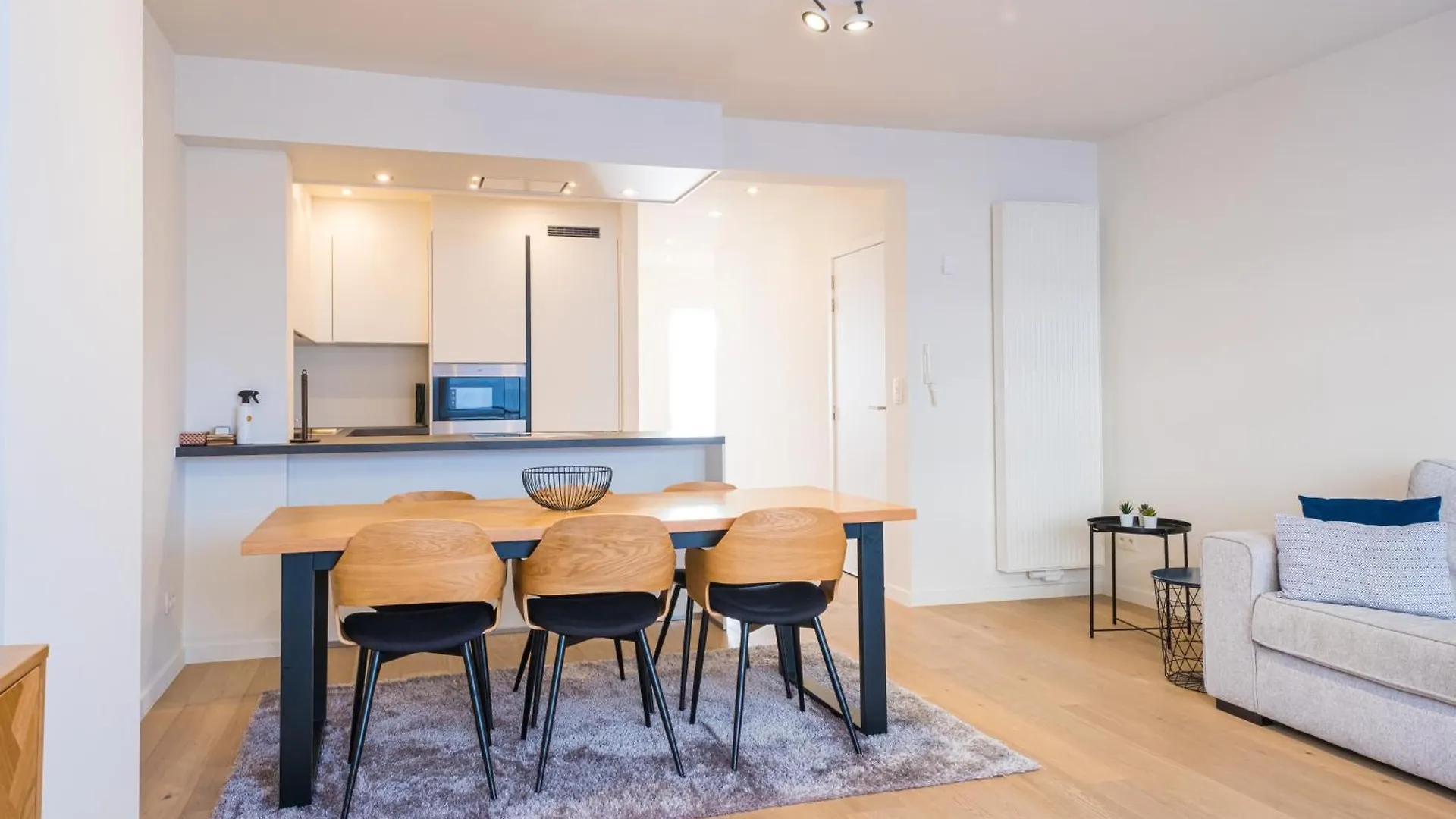 Renovated 2-Bedroom Apartment In Oostende Belgium